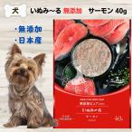 いぬみ?る 無添加 サーモン 40g いぬみーる ペースト ぴゅーれ 犬 ウェット 4571130145597