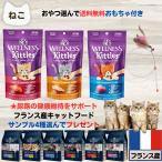 ドッグフード 療法食、療養食