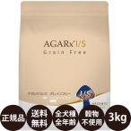 KMT アーテミス アガリクスI/S グレイ