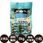 ロータス グレインフリー フィッシュレシピ 小粒 5kg 賞味期限_2025/1/20