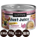 ロータス キャットタ�