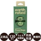  earth Ray tedo стандартный roll без ароматизации 120 листов 