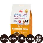 森乳サンワールド スーパーゴールド おなかラボ 成犬用 2.4kg 賞味期限:2026/9/30