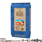 (2025年6月2日価格改定)セレクトバランス グレインフリー アダルト サーモン 小粒 6kg 無添加 穀物不使用 オメガ6 グルコサミン