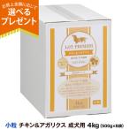 【メーカー出荷賞味期限2026年8月16�