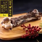 犬 おやつ 無添加 国産 がんこおや