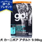 (選べるプレゼント付き)GO! ゴー カ