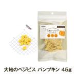 ナチュラルハーベストT 大地のベジビス パンプキン 45g