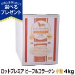 ロットプレミア ビー�