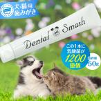 ペット用 歯みがき デンタルスマッシュ トゥースペースト 50g 追跡可能メール便のみ送料無料(同梱不可)犬 猫 歯磨