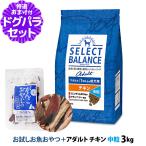  select баланс взрослый chi gold средний шарик 3kg + пробный местного производства . рыба толщина стружка 15g курица средний шарик . собака коэнзим 