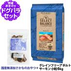セレクトバランス ドッグフード グレインフリー アダルト サーモン 小粒 6kg +お試し国産お魚おやつ 約20g ドッグ 穀物不使用