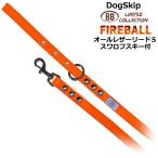 BBオールレザーリードSサイズFi...