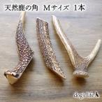 犬噛むおもちゃ鹿の角天然鹿のおもち...