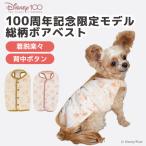 アウトレットセール Disney100周年記念限定モデル 総柄ウェア ベージュ/ブルー