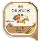 Yahoo! Yahoo!ショッピング(ヤフー ショッピング)［終売］ニュートロ シュプレモ 子犬用 トレイ 100g［賞味：2021/8］（旧パッケージ）