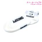 メール便OK靴下女の子向けソックス...