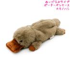 筆箱 ぬいぐるみ タイプ ワイルド アニマル ペンケース カモノハシ 中学生 高校生 一般 女の子 向け ベストエバージャパン おしゃれ で かわいい 文房具