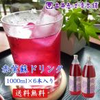 京都 赤紫蘇 送料無料 ドリンク ス