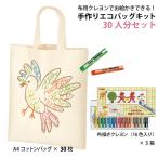 【お絵かきできる 手作りエコバッグキット(A4コットンバッグ×30枚 布用クレヨン×3個)】トートバッグ手作り お絵描きバッグ 手作りバッグ マイバッグ