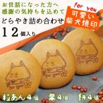 父の日　御中元　お祝い　ギフト プレゼント 柴乃家 焼印 おやつ どら焼き どらやき 12個入 和菓子  贈答 柴犬 送料無料