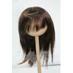 8-9inch/ парик //SuperDollfie Super Dollfie // Y-26-06-16-157-WT-ZY