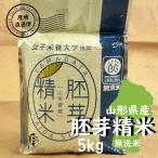 お米 5kg 無洗米 胚芽精