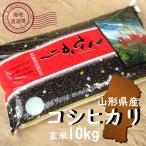 お米 10kg コシヒカリ 玄米 山形県 10kg×1袋 6年度産