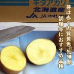 野菜・種/苗 春じゃがいも種芋 キタアカリ 馬鈴薯種芋 1kg