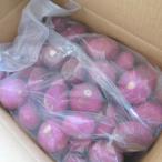 温海かぶ 加工用 10kg 山形県産