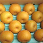 . вода мир груша 5kg 12~14 шар входить Yamagata префектура производство 