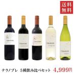 テラノブレ ５種飲み比べセット チリ 7