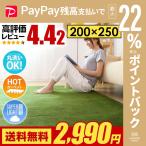 ラグ ラグマット 送料無料 rug 北欧 カーペット 200×250cm