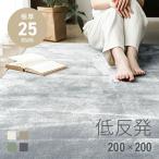 ラグ 低反発 洗える 200×200 2畳 極厚 25mm 防ダニ フランネル 滑り止め付 マイクロファイバー 正方形 ホットカーペット モダンデコ