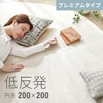 ラグ 洗える 円形 低反発 200×200 プレミアタイプ 円形ラグ 低反発ラグ カーペット シャギーラグ モダン 絨毯 厚手 丸型 滑り止め 防音マット 北欧