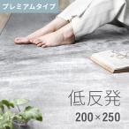 ショッピングデコ 低反発ラグ 200×250 プレミアムタイプ 低反発 ラグマット 滑り止め 防音マット カーペット シャギーラグ ラグ 北欧 低反発ラグマット