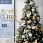 クリスマスツリー 180cm ツリー 雪化粧 おしゃれ ヌードツリー 北欧