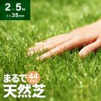  artificial lawn roll 2m×5m lawn grass height 35mm artificial lawn real diy lawn grass raw mat person . lawn grass raw garden modern deco 