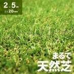 人工芝 2m×5m ロール 芝丈20mm diy 芝生 マット モダンデコ