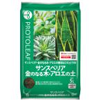  сансевиерия * золотой. становится дерево * алоэ. земля 5L Pro to leaf 