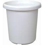  длина горшок F type 5 номер белый Apple одежда - декоративное растение солнечный sebe задний pothos 