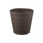  craft pot 18 type темно-коричневый Apple одежда - декоративное растение umbellata символ tree горшок 