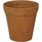 k Ray pot nachu-ru7 номер Brown a кальмар папоротник олений рог оливковый gaju maru горшок 