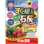  сразу .. камень пепел 1KG день Kiyoshi коммерческое предприятие садоводство сопутствующие товары * принадлежности для садоводства 