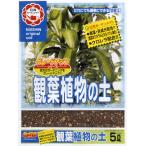  декоративное растение. земля 5L день Kiyoshi коммерческое предприятие 