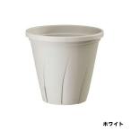  корень. . горшок 6 номер белый диаметр 177x высота 163mm Yamato пластик горшок декоративное растение роза 