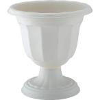  Queen cup D-28 type белый Apple одежда - глубокий type ivy зеленый колье горшок посадочная машина 