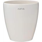  luster pot 265 type белый Apple одежда -