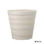  craft pot 18 type белый Apple одежда - декоративное растение -тактный re Cheer Augusta горшок 