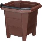  цветок . овощи. посадочная машина 300 type Brown Apple одежда -